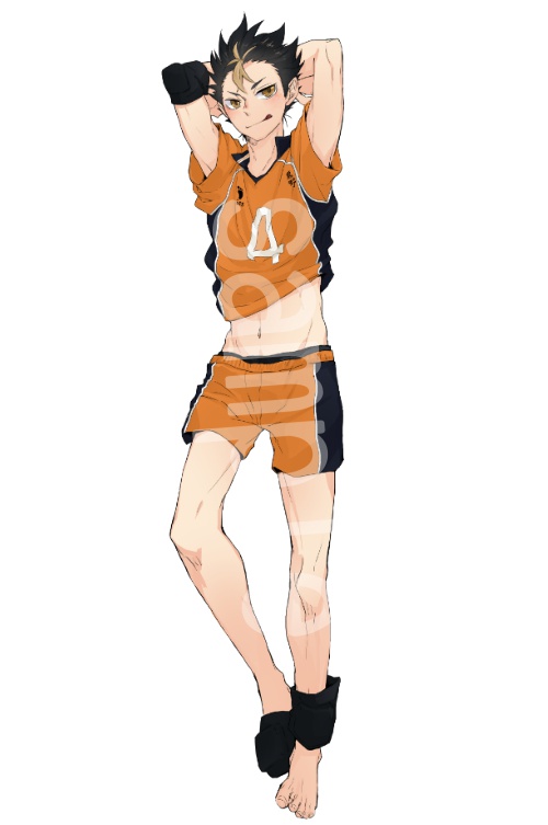 【HQ】西谷夕寝そべりアクキー(10×10・7×7)