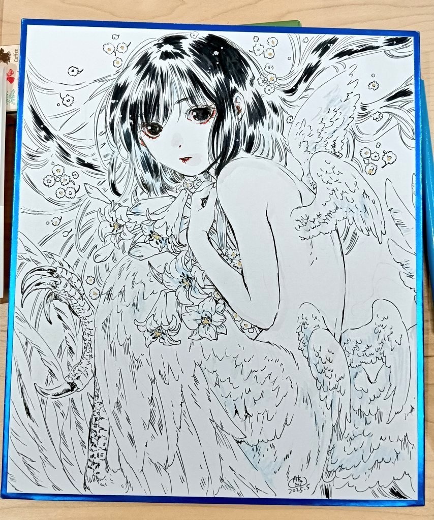 少女原画6種 3