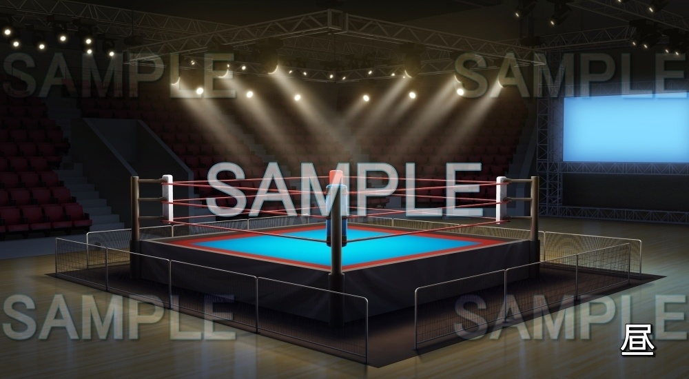 【背景素材】プロレスリング俯瞰 (店舗編part01-shop05_r)