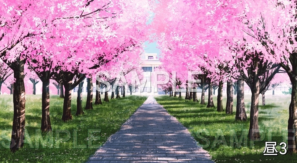 【背景素材】桜並木 校舎 (自然春編part05-flower_namiki02)