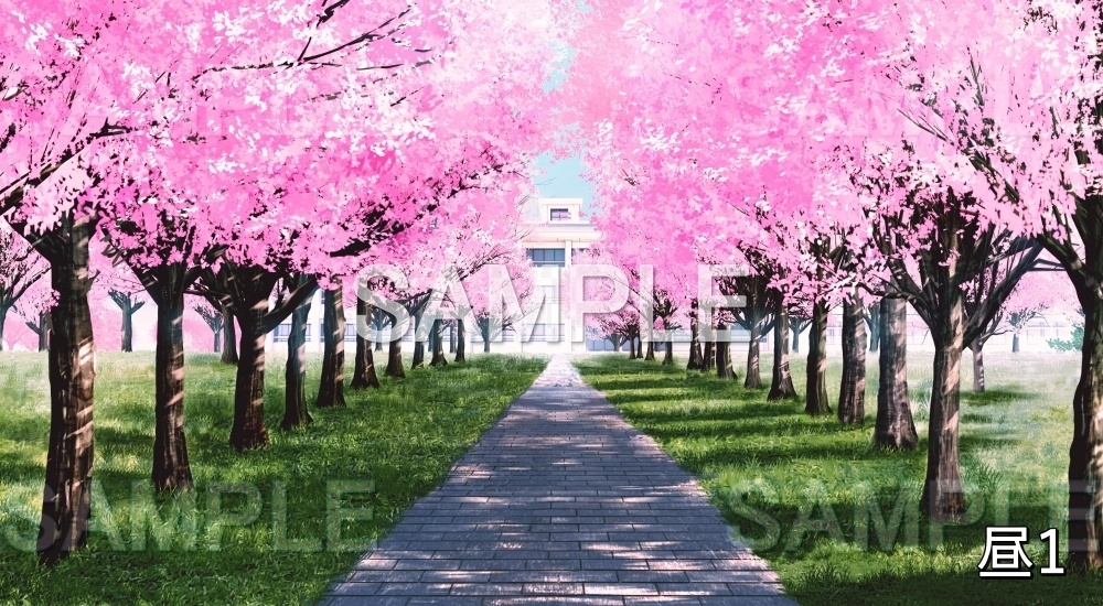 【背景素材】桜並木 校舎 (自然春編part05-flower_namiki02)