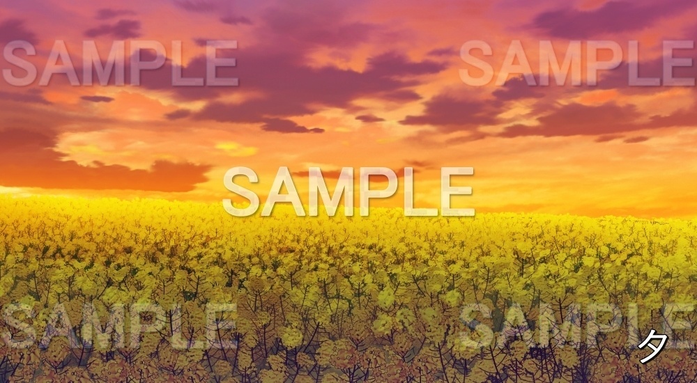 【背景素材】菜の花 (自然春編part05-flower_nano01)