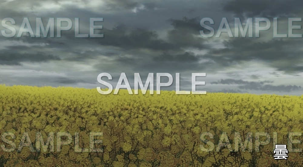 【背景素材】菜の花 (自然春編part05-flower_nano01)