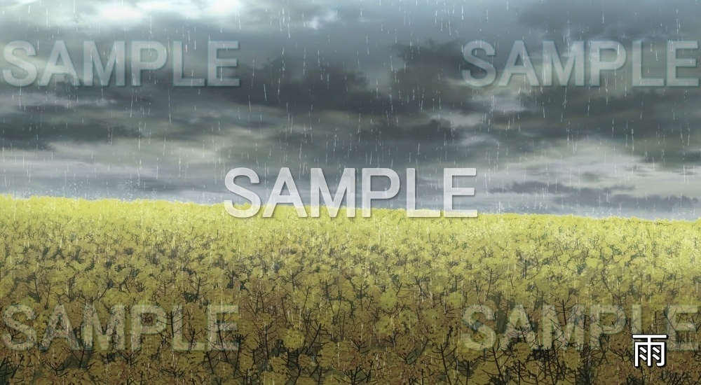 【背景素材】菜の花 (自然春編part05-flower_nano01)