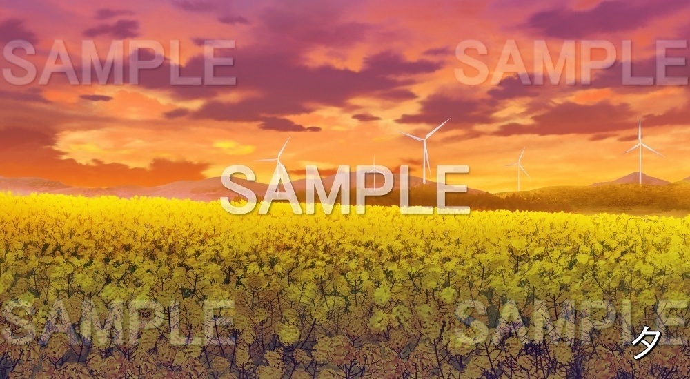 【背景素材】菜の花畑 (自然春編part05-flower_nano02)