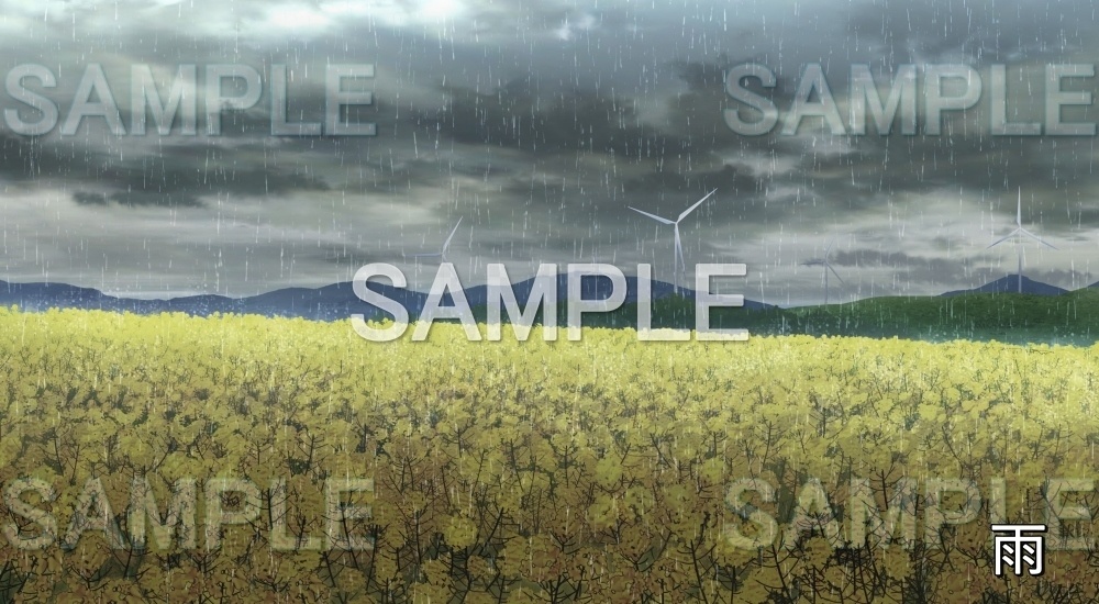 【背景素材】菜の花畑 (自然春編part05-flower_nano02)