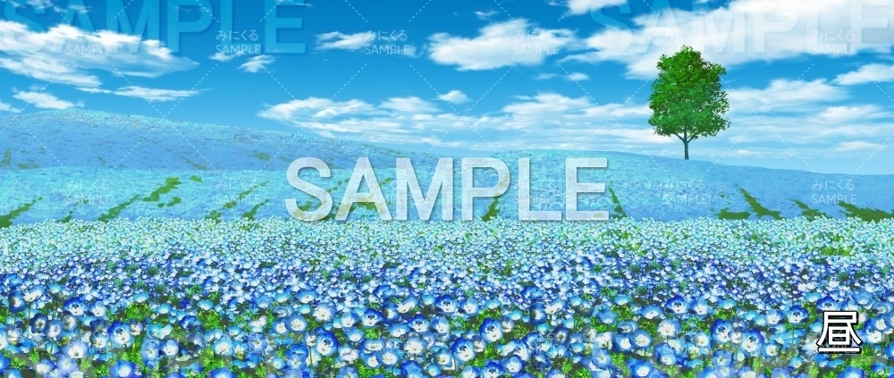 【背景素材】ネモフィラ畑 (自然春編part05-flower_nemo01_L)