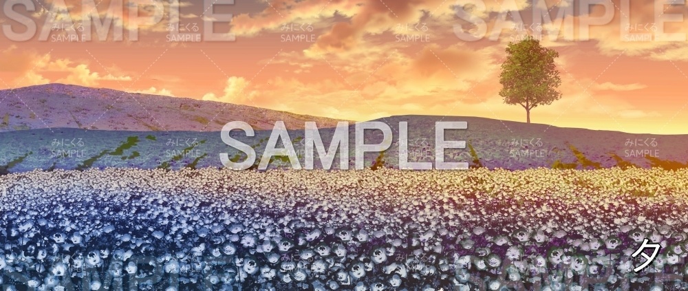 【背景素材】ネモフィラ畑 (自然春編part05-flower_nemo01_L)