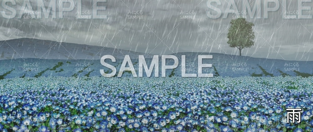 【背景素材】ネモフィラ畑 (自然春編part05-flower_nemo01_L)