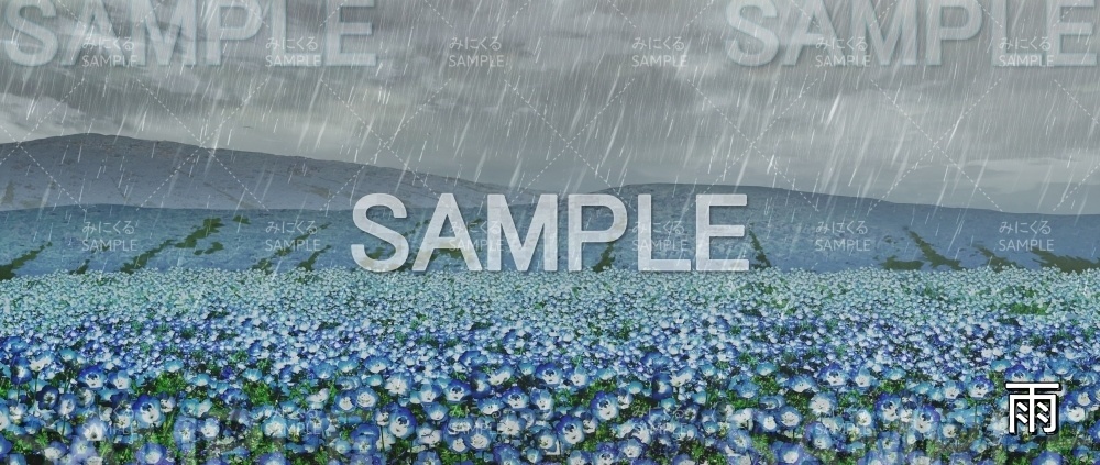 【背景素材】ネモフィラ畑_木なし (自然春編part05-flower_nemo02_L)