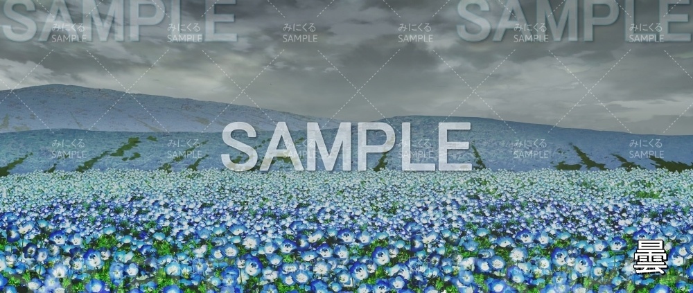 【背景素材】ネモフィラ畑_木なし (自然春編part05-flower_nemo02_L)