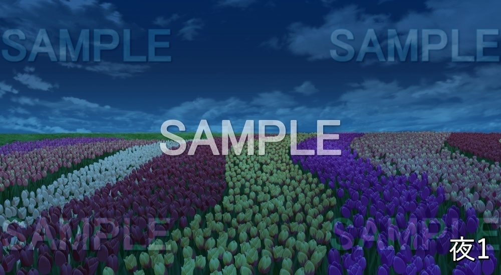 【背景素材】チューリップ畑 (自然春編part05-flower_tulip01)