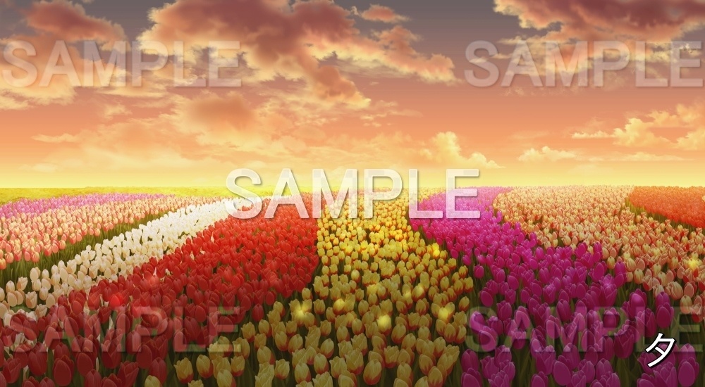 【背景素材】チューリップ畑 (自然春編part05-flower_tulip01)