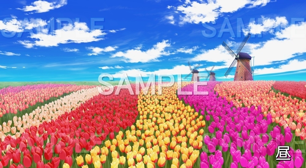 【背景素材】チューリップ畑 風車 (自然春編part05-flower_tulip02)