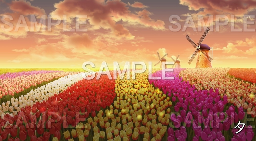 【背景素材】チューリップ畑 風車 (自然春編part05-flower_tulip02)