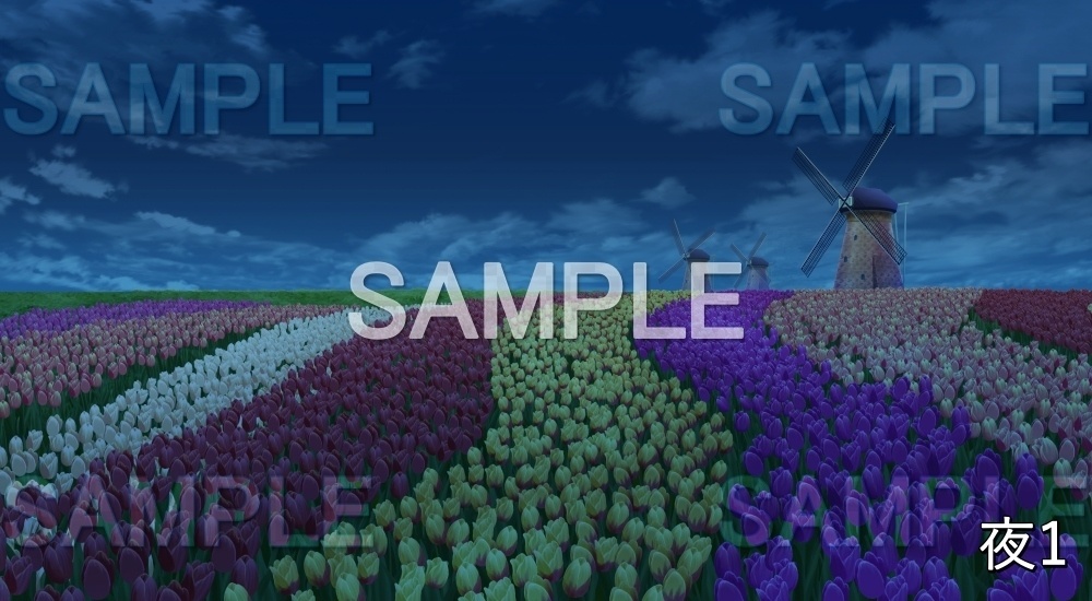 【背景素材】チューリップ畑 風車 (自然春編part05-flower_tulip02)