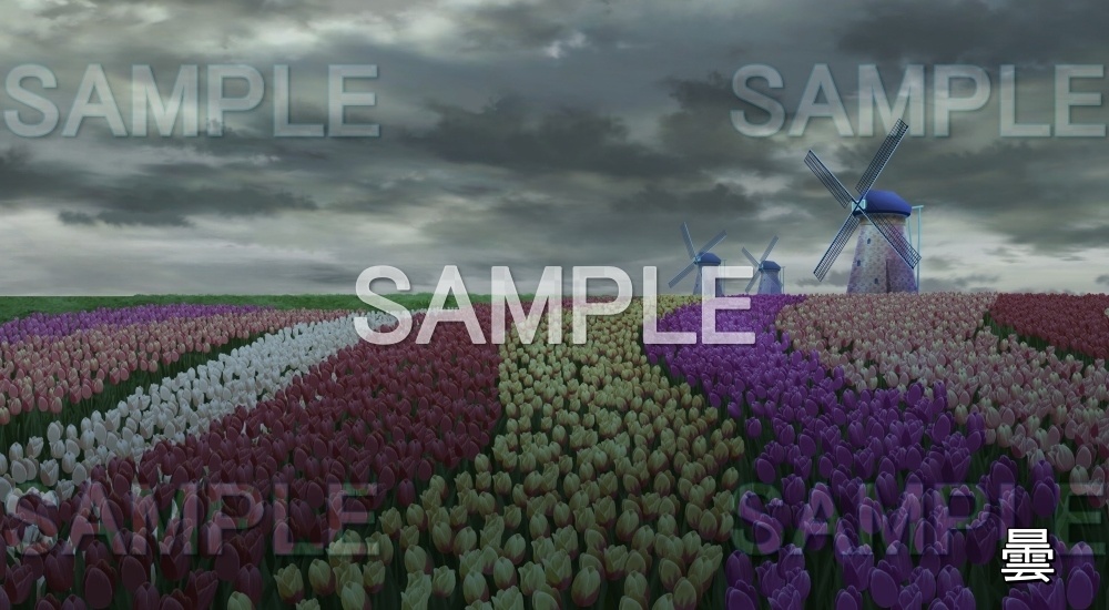 【背景素材】チューリップ畑 風車 (自然春編part05-flower_tulip02)