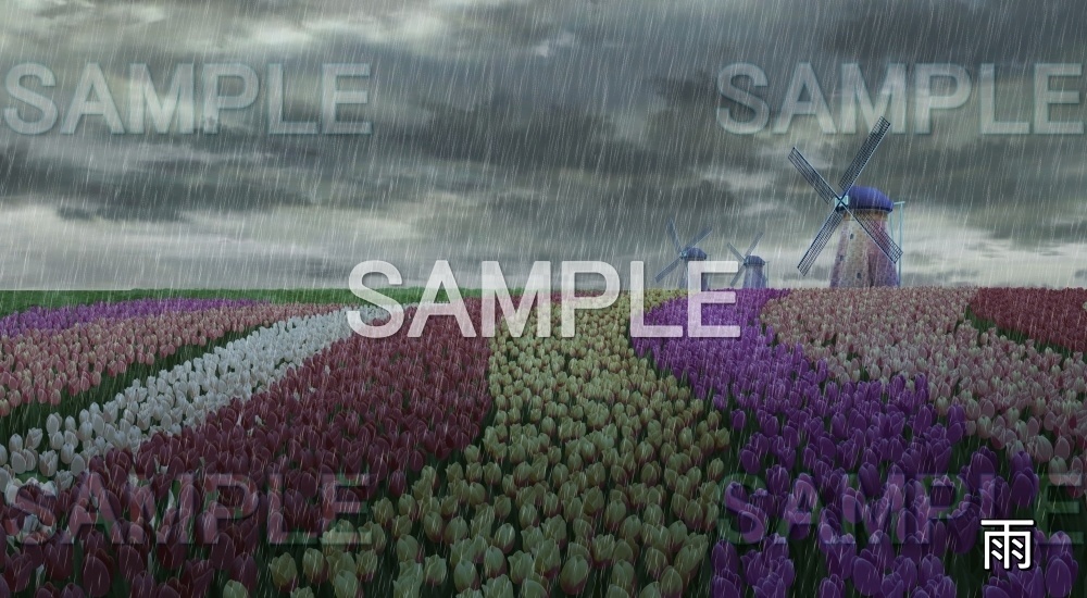 【背景素材】チューリップ畑 風車 (自然春編part05-flower_tulip02)