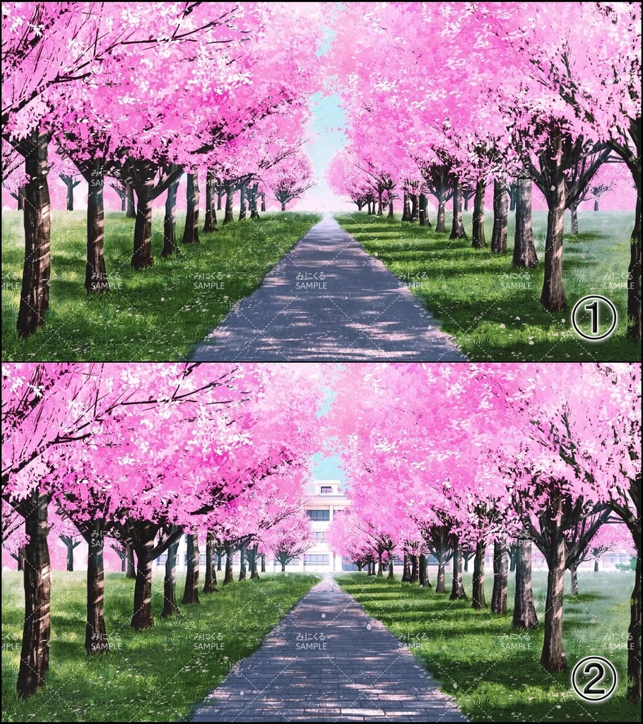 【動く背景素材】桜舞う並木道 (自然春編05_flower_namiki01)