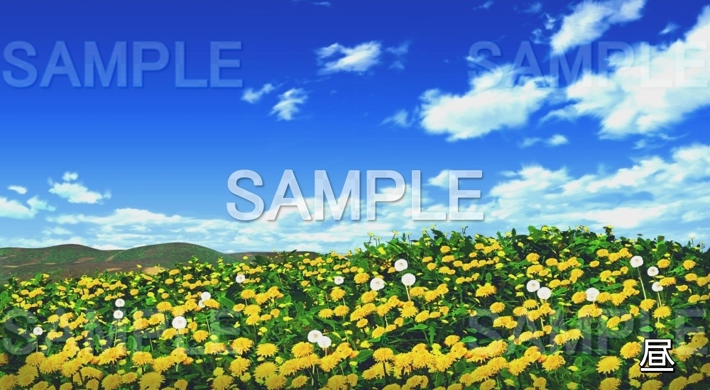 【背景素材】たんぽぽ畑 (自然春編part05-flower_tanpopo)