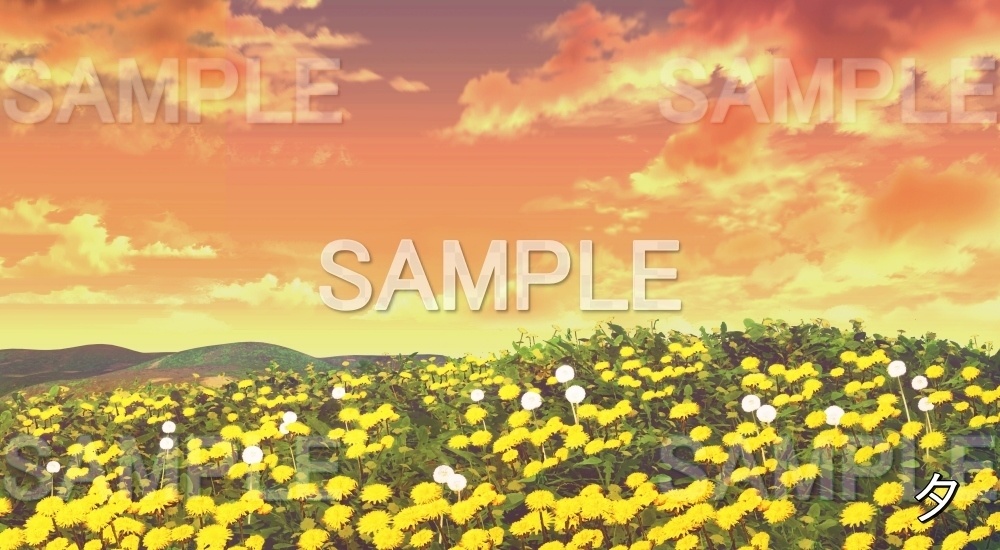【背景素材】たんぽぽ畑 (自然春編part05-flower_tanpopo)