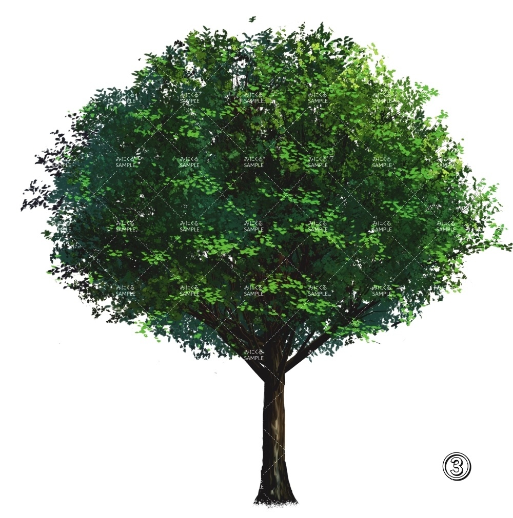 【透過素材】新緑の木 PNG透過素材 (自然春編part05-midori01)