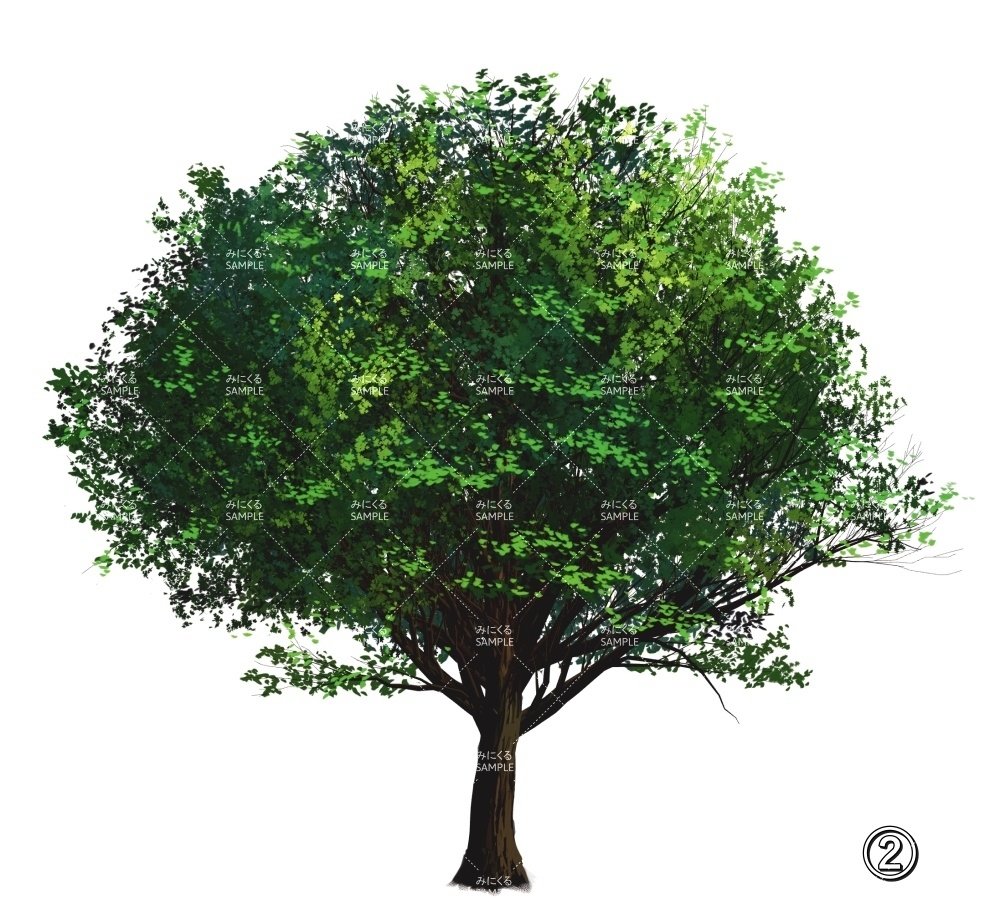 【透過素材】新緑の木 PNG透過素材 (自然春編part05-midori01)