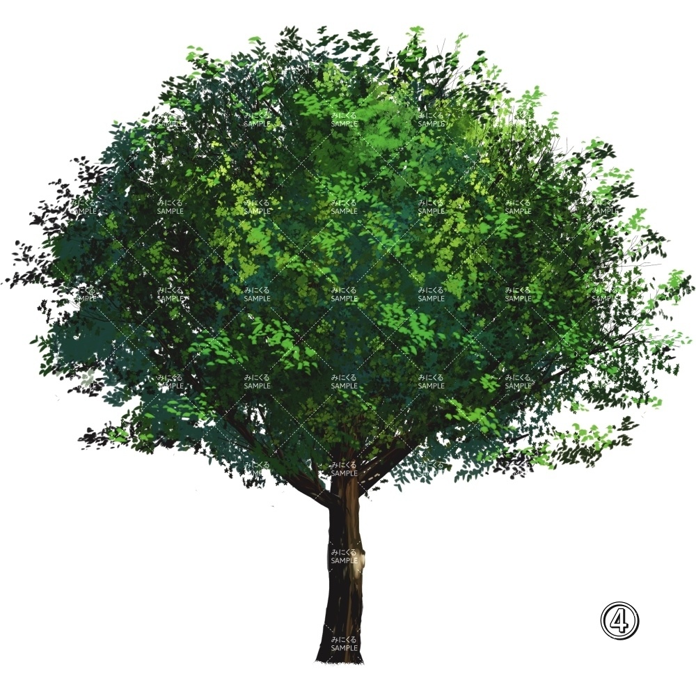 【透過素材】新緑の木 PNG透過素材 (自然春編part05-midori01)