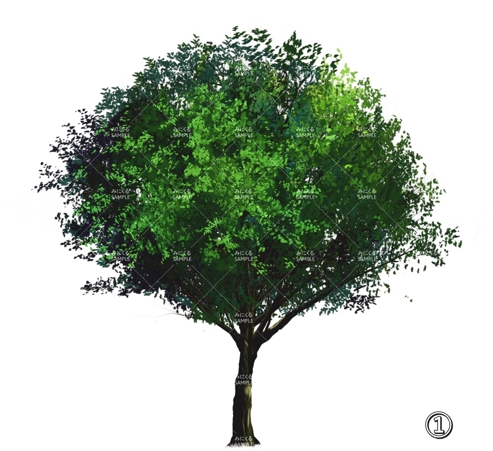 【透過素材】新緑の木 PNG透過素材 (自然春編part05-midori01)