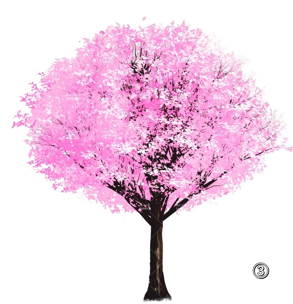 【透過素材】桜の木 PNG透過素材 (自然春編part05-sakura02)