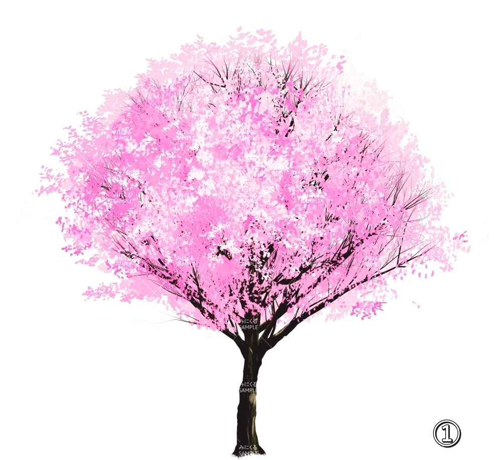 【透過素材】桜の木 PNG透過素材 (自然春編part05-sakura02)
