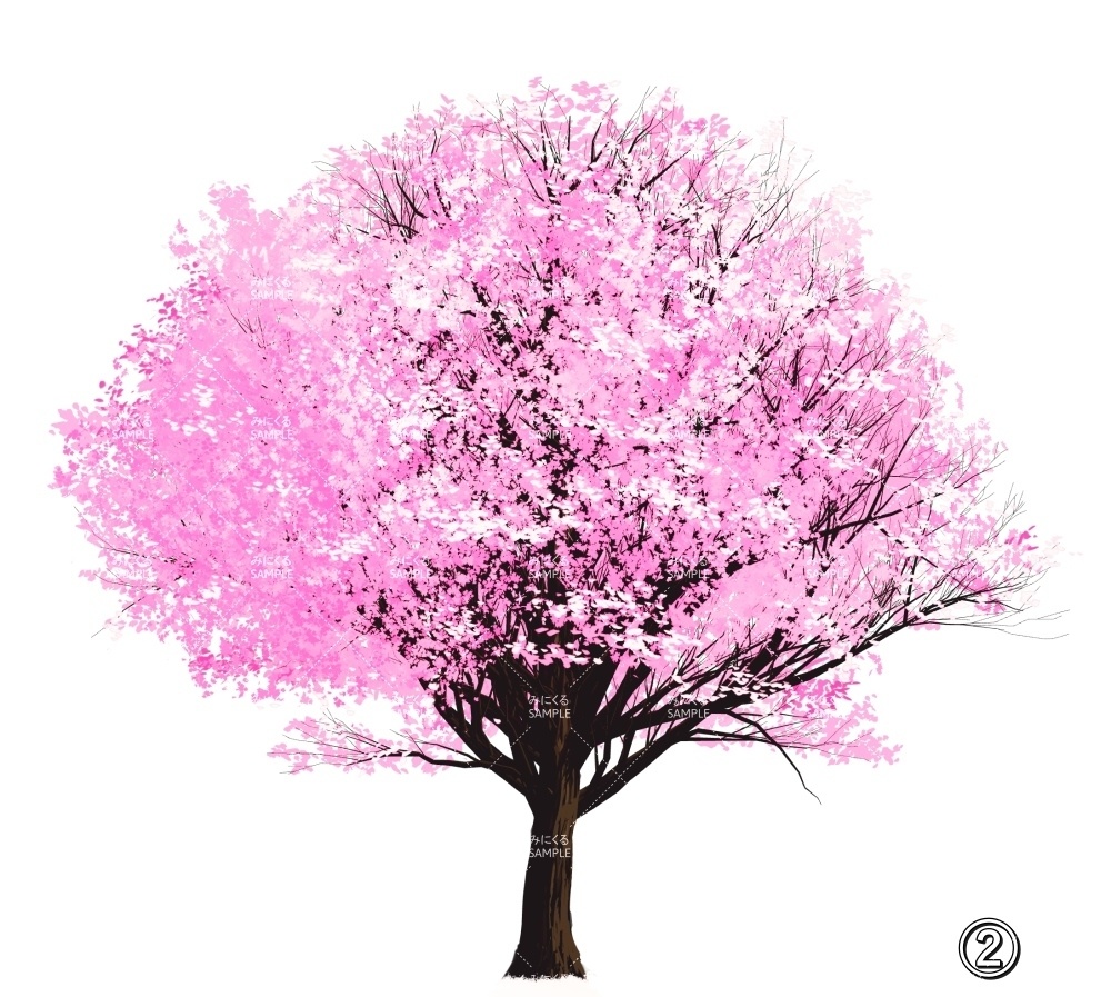 【透過素材】桜の木 PNG透過素材 (自然春編part05-sakura02)