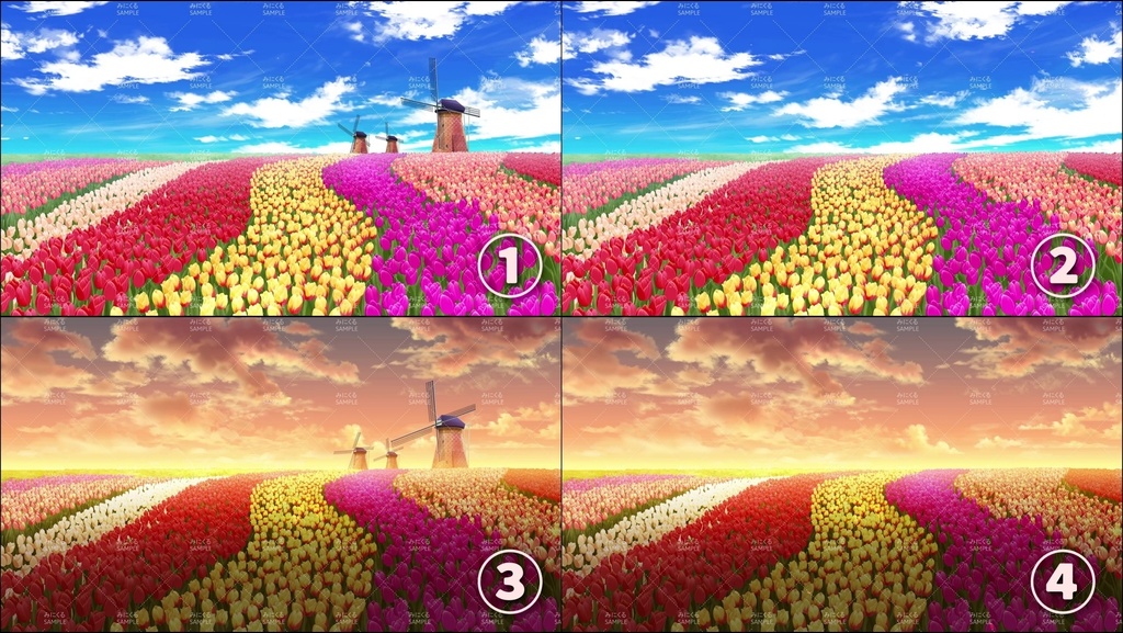 【動く背景素材】風に揺れるチューリップ畑 (自然春編05_flower_tulip02)