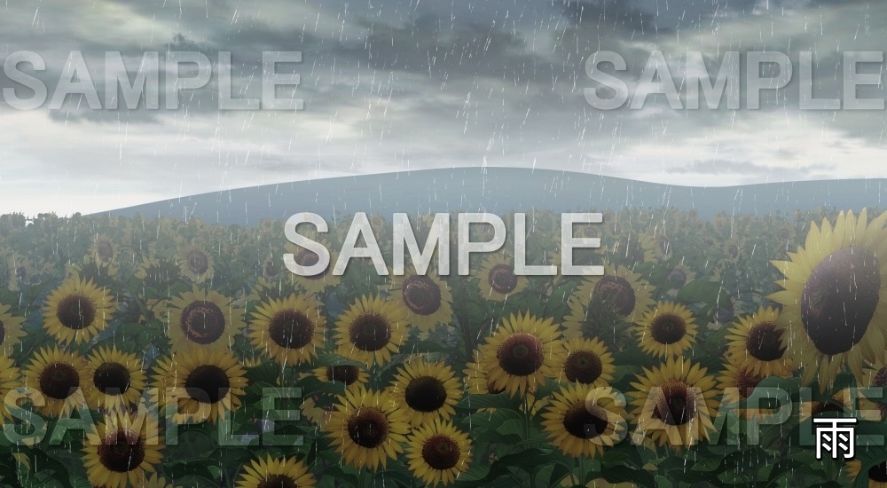 【背景素材】向日葵(自然&夏編06-summer_hima)