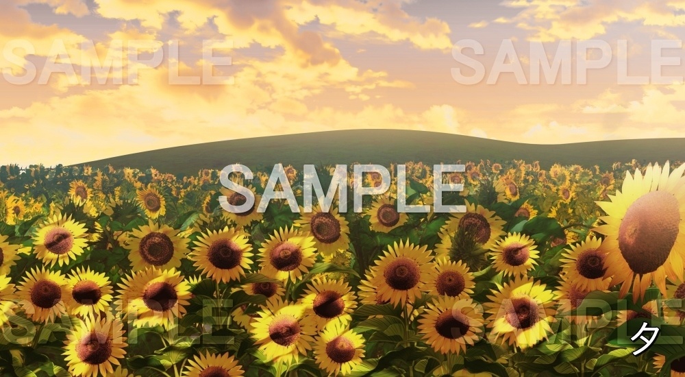 【背景素材】向日葵(自然&夏編06-summer_hima)