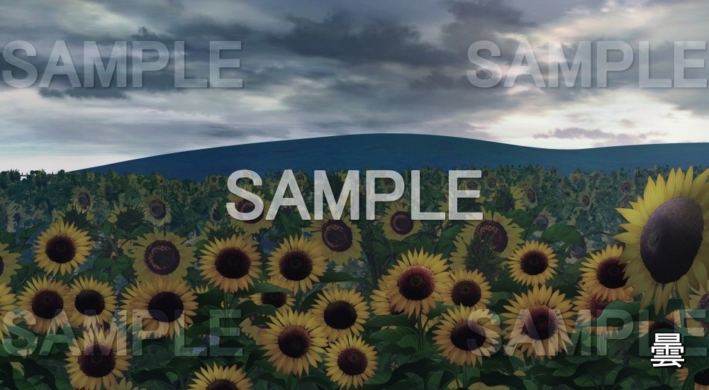 【背景素材】向日葵(自然&夏編06-summer_hima)