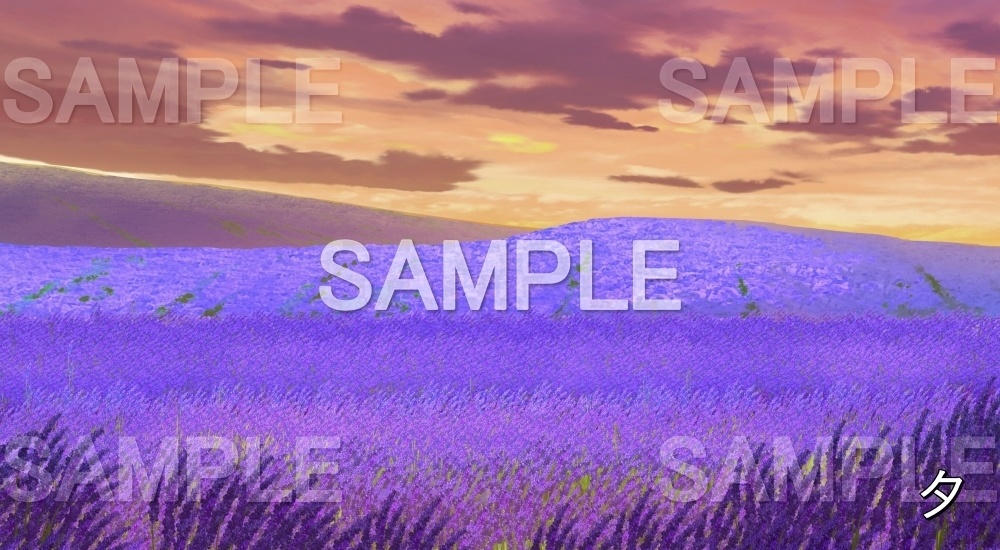 【背景素材】ラベンダー畑(自然&夏編06-summer_lave)