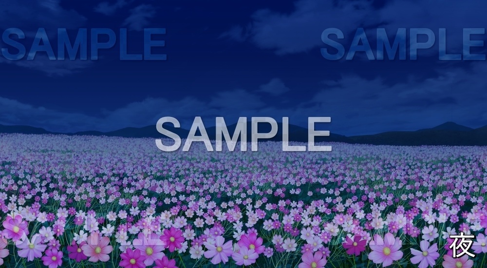 【背景素材】コスモス畑 (自然&秋編part07-autumn_cosmos)