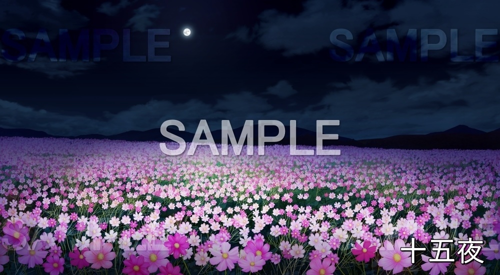 【背景素材】コスモス畑 (自然&秋編part07-autumn_cosmos)