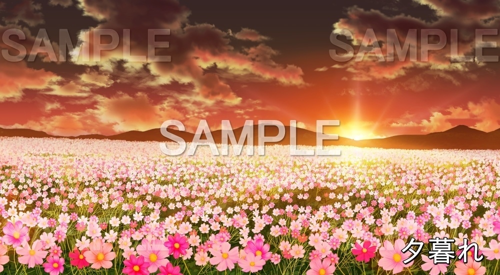 【背景素材】コスモス畑 (自然&秋編part07-autumn_cosmos)