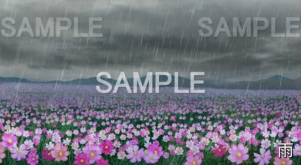 【背景素材】コスモス畑 (自然&秋編part07-autumn_cosmos)