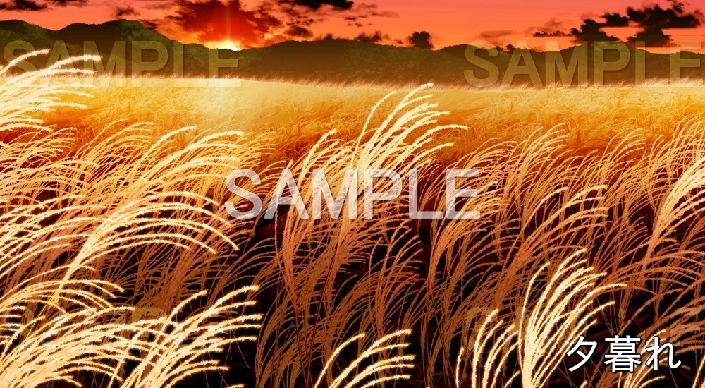 【背景素材】ススキ畑 (自然&秋編part07-autumn_susuki)
