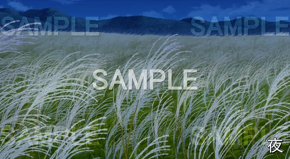 【背景素材】ススキ畑 (自然&秋編part07-autumn_susuki)