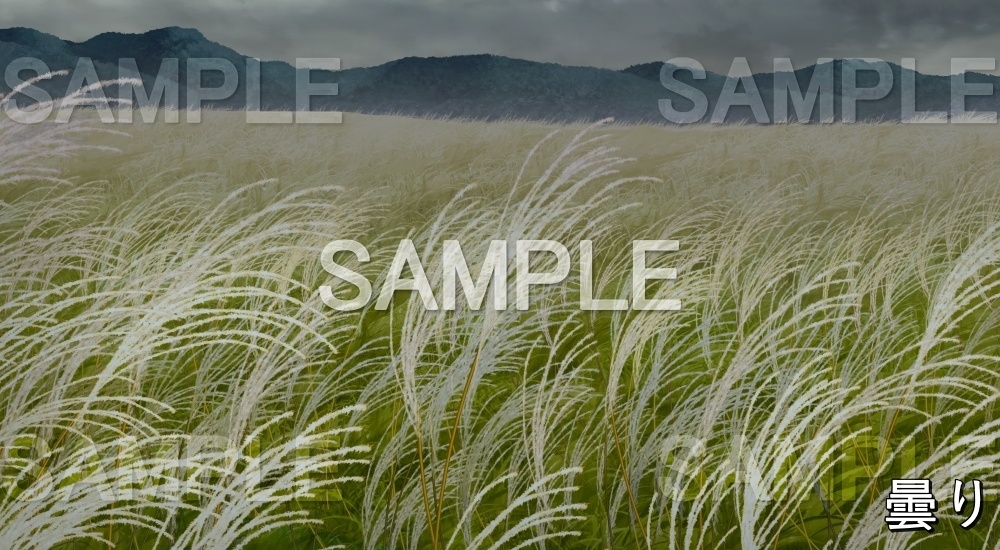 【背景素材】ススキ畑 (自然&秋編part07-autumn_susuki)