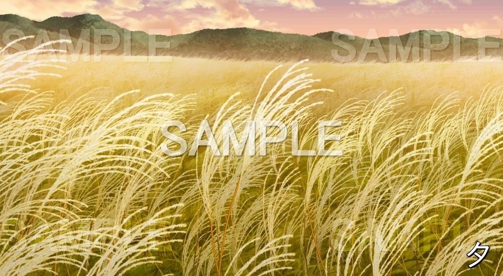 【背景素材】ススキ畑 (自然&秋編part07-autumn_susuki)