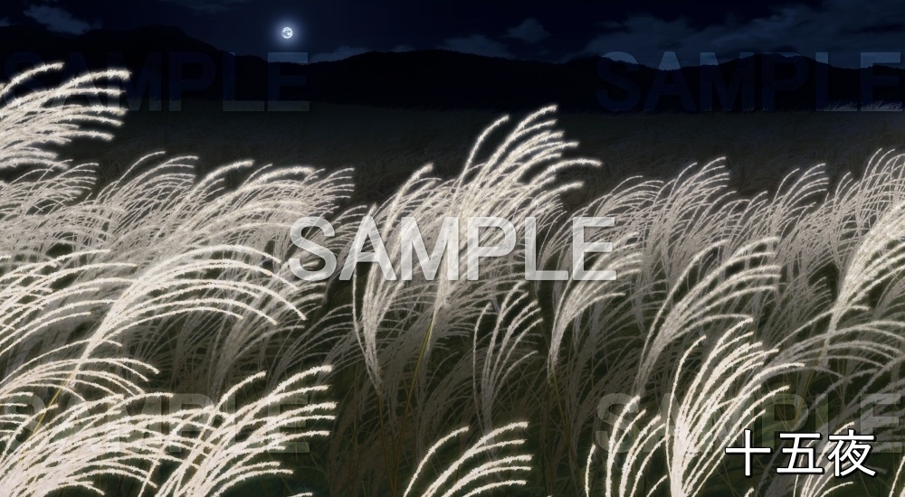 【背景素材】ススキ畑 (自然&秋編part07-autumn_susuki)