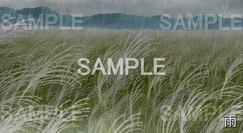 【背景素材】ススキ畑 (自然&秋編part07-autumn_susuki)