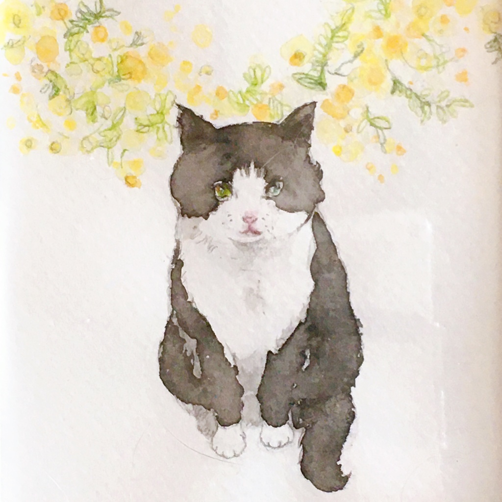 猫 水彩画 原画 絵 猫 ミモザ - イラスト