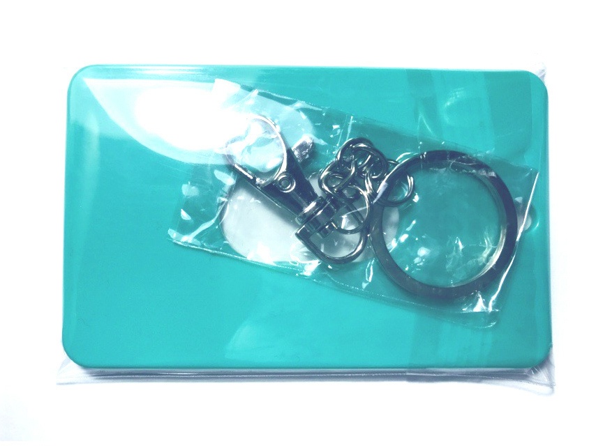 【創作】ハードICケース