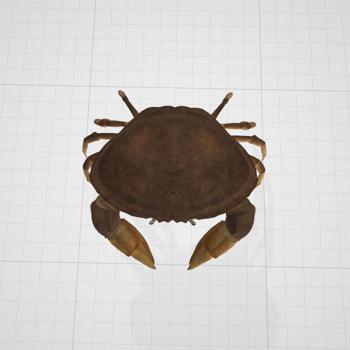 crab